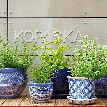 Hotel&depandance Kopacka Aparthotel 4*
