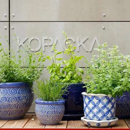 Hotel&depandance Kopacka 4*